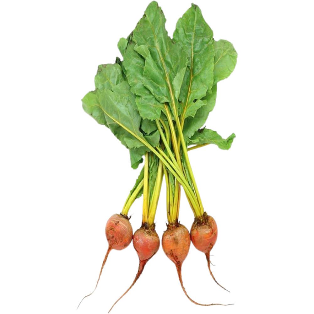 Baby-Beetroot-Golden-img-2