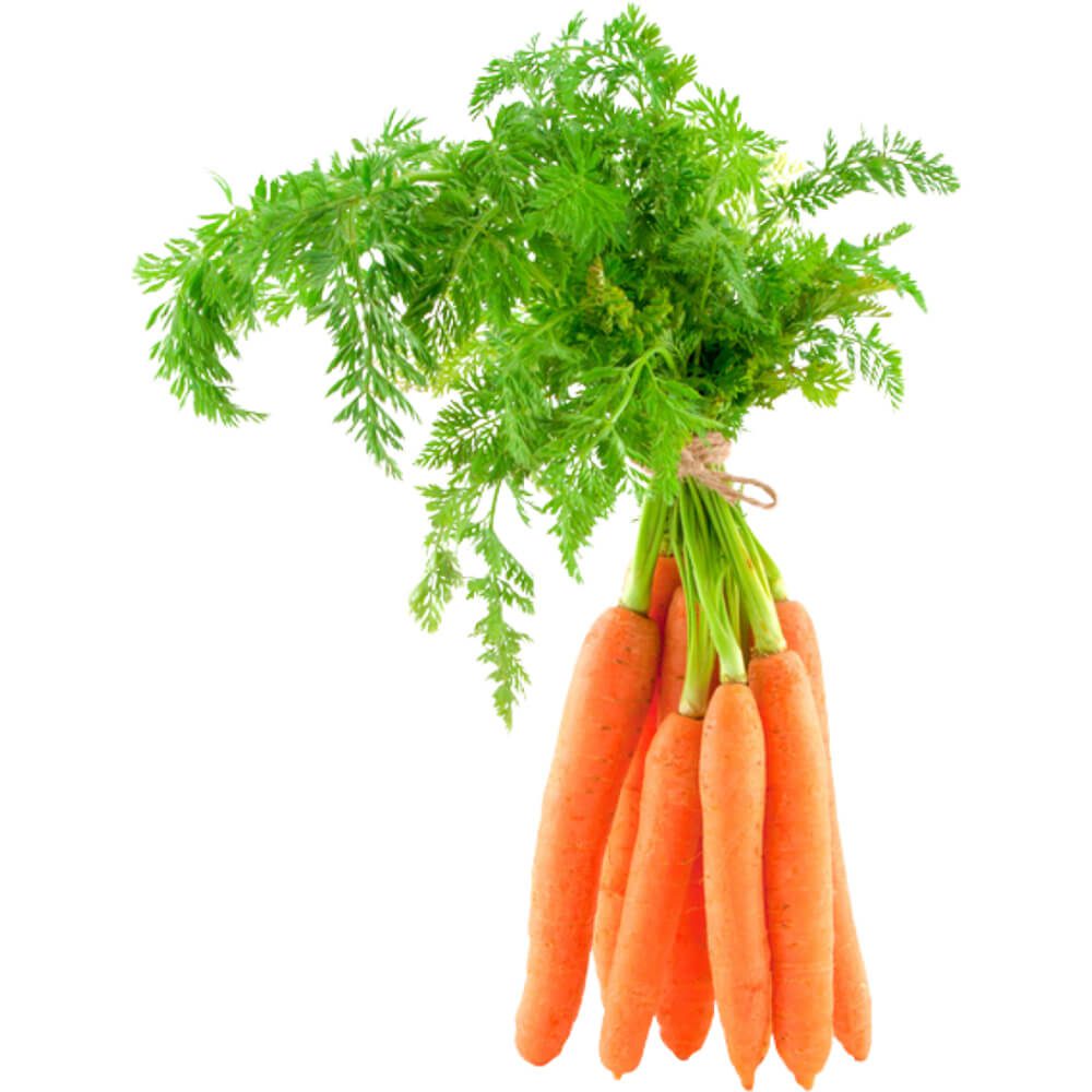 Baby Carrot with Leaf