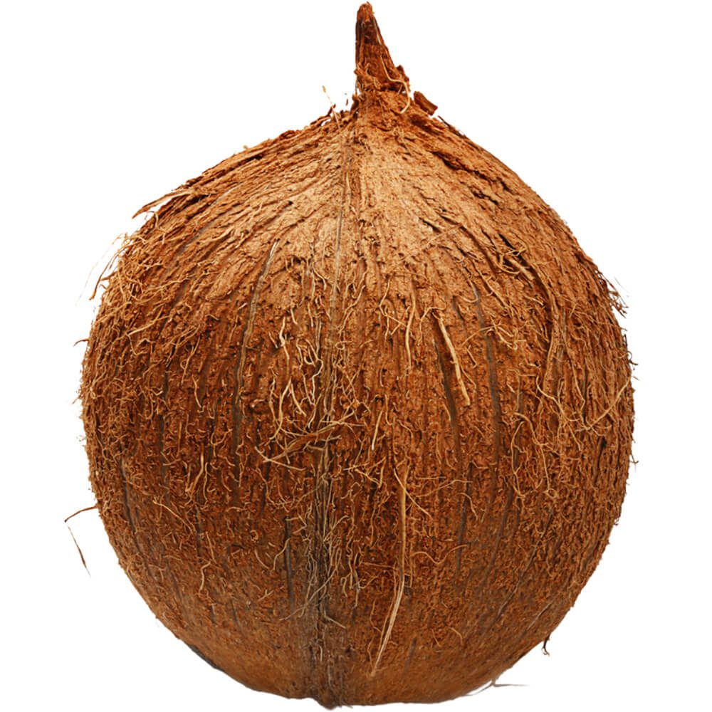 Brown Coconut