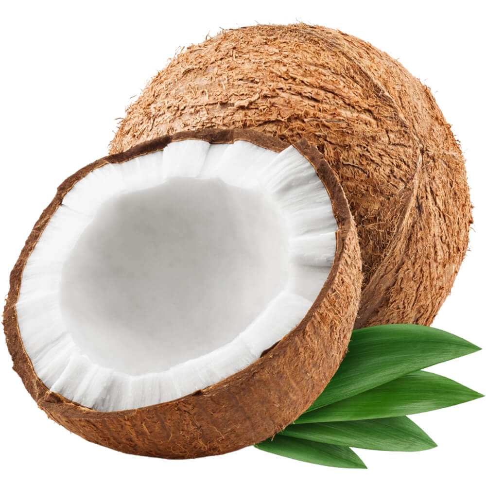 Brown-Coconut-img-2