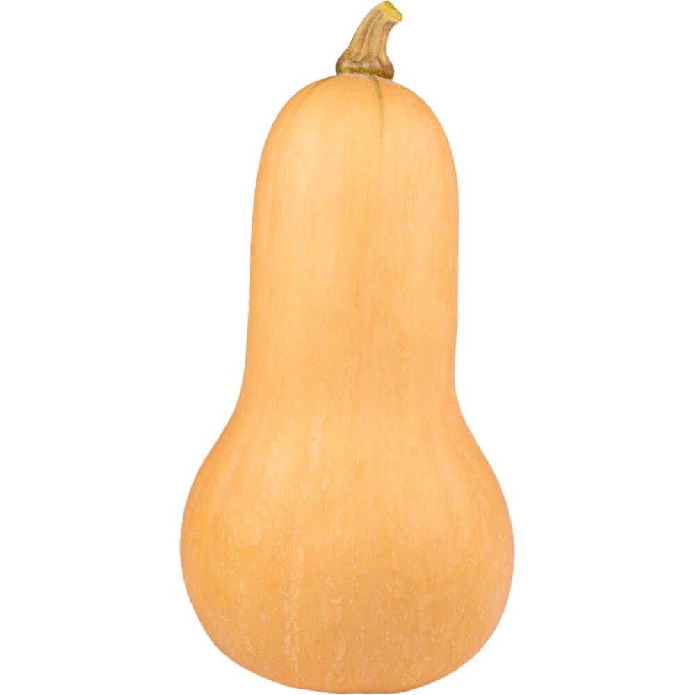 Butternut Pumpkin <span class="cwu-weight-badge cwu-weight-badge--inline">Kg</span>