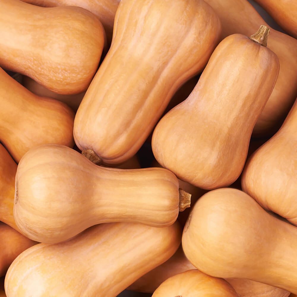 Butternut-Pumpkin-img-4