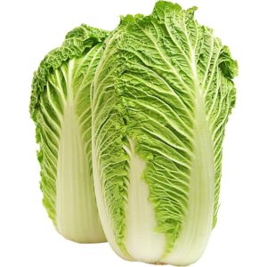 Cabbage Chinese