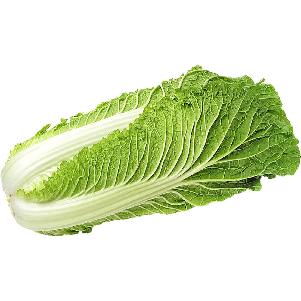 Cabbage-Chinese-img-2