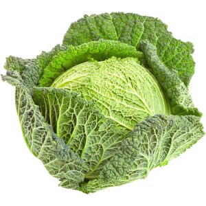 Cabbage Savoy Holland