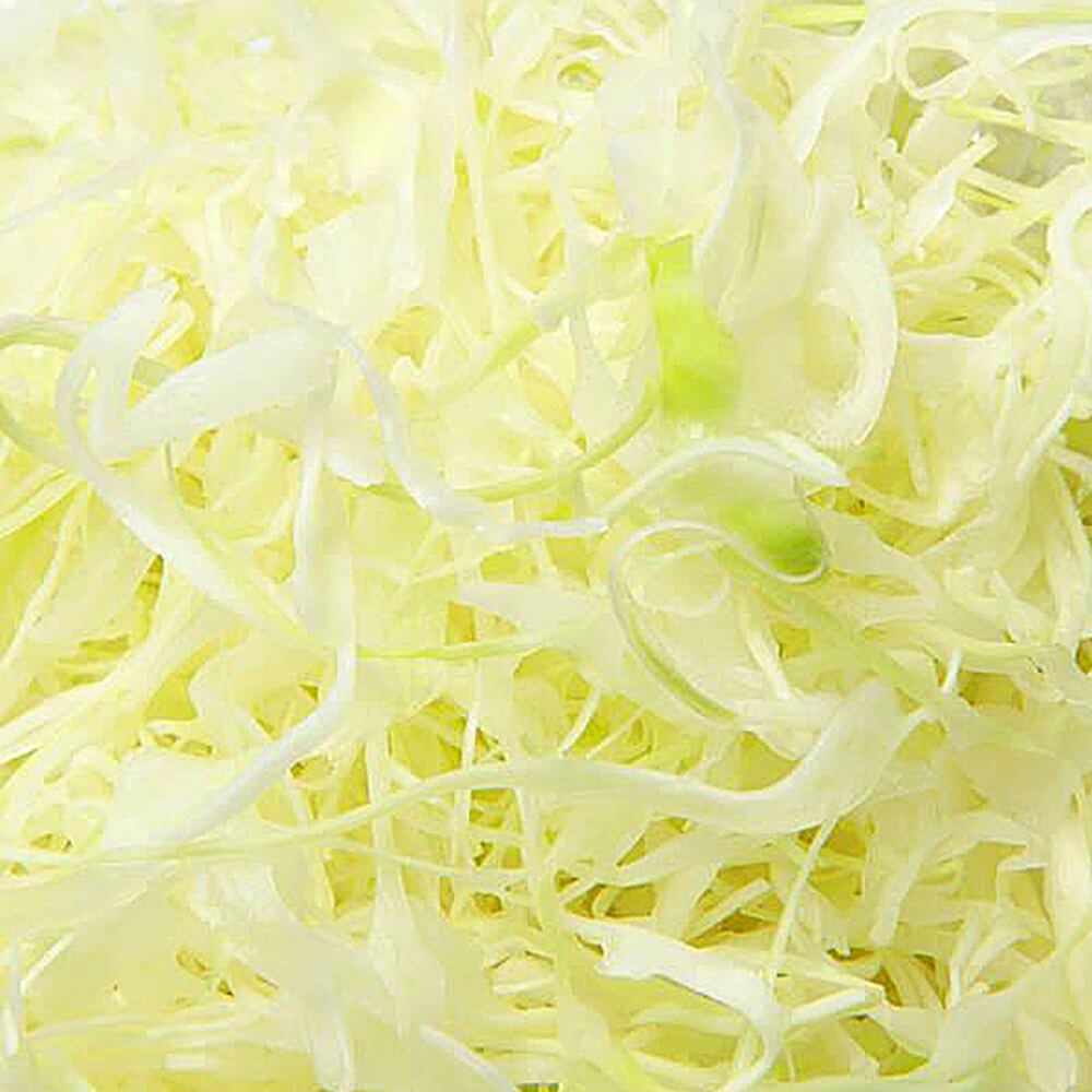 Cabbage-Shredded-White-img-3