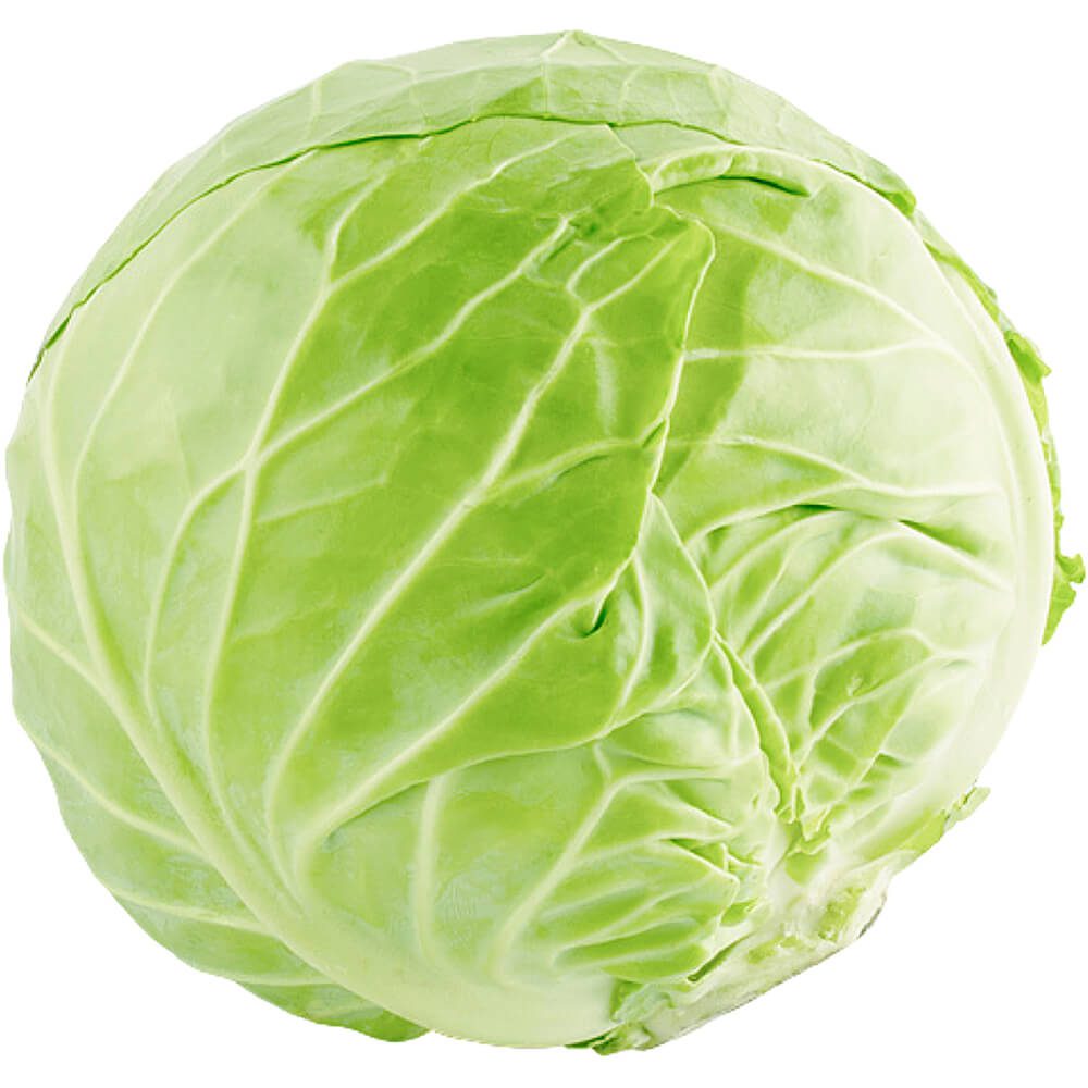 Cabbage-White-Organic-img-2