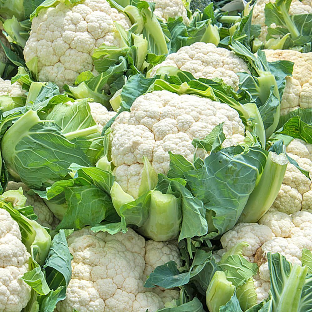 Cauliflower-img-4