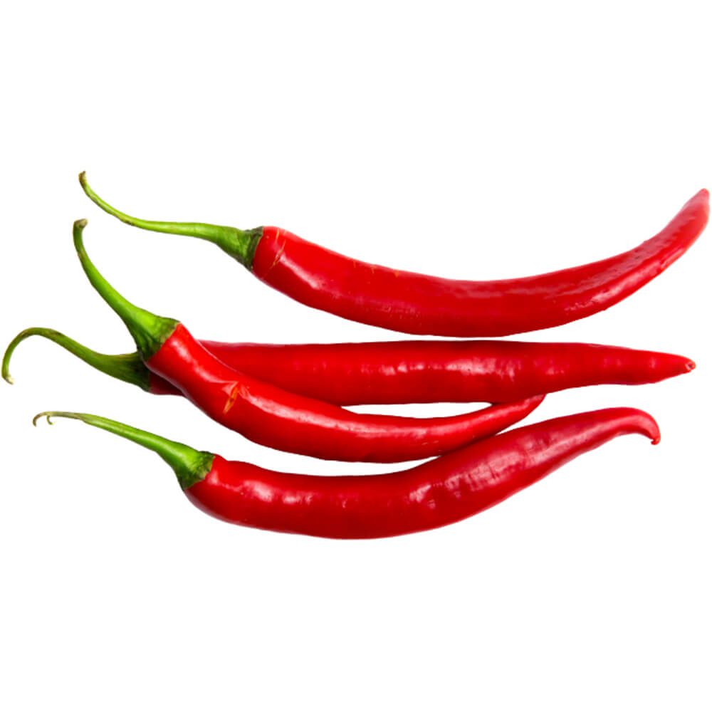 Chili Red Long