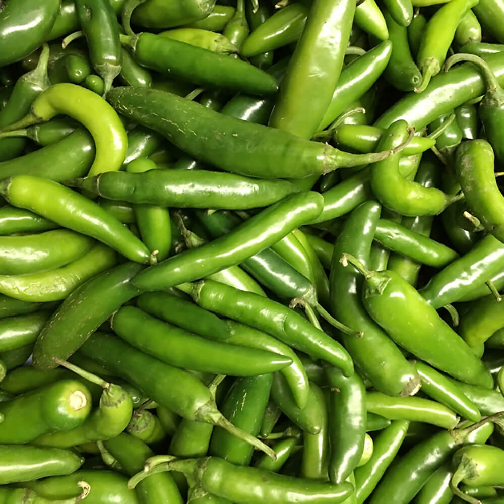 Chili-Serrano-img-4