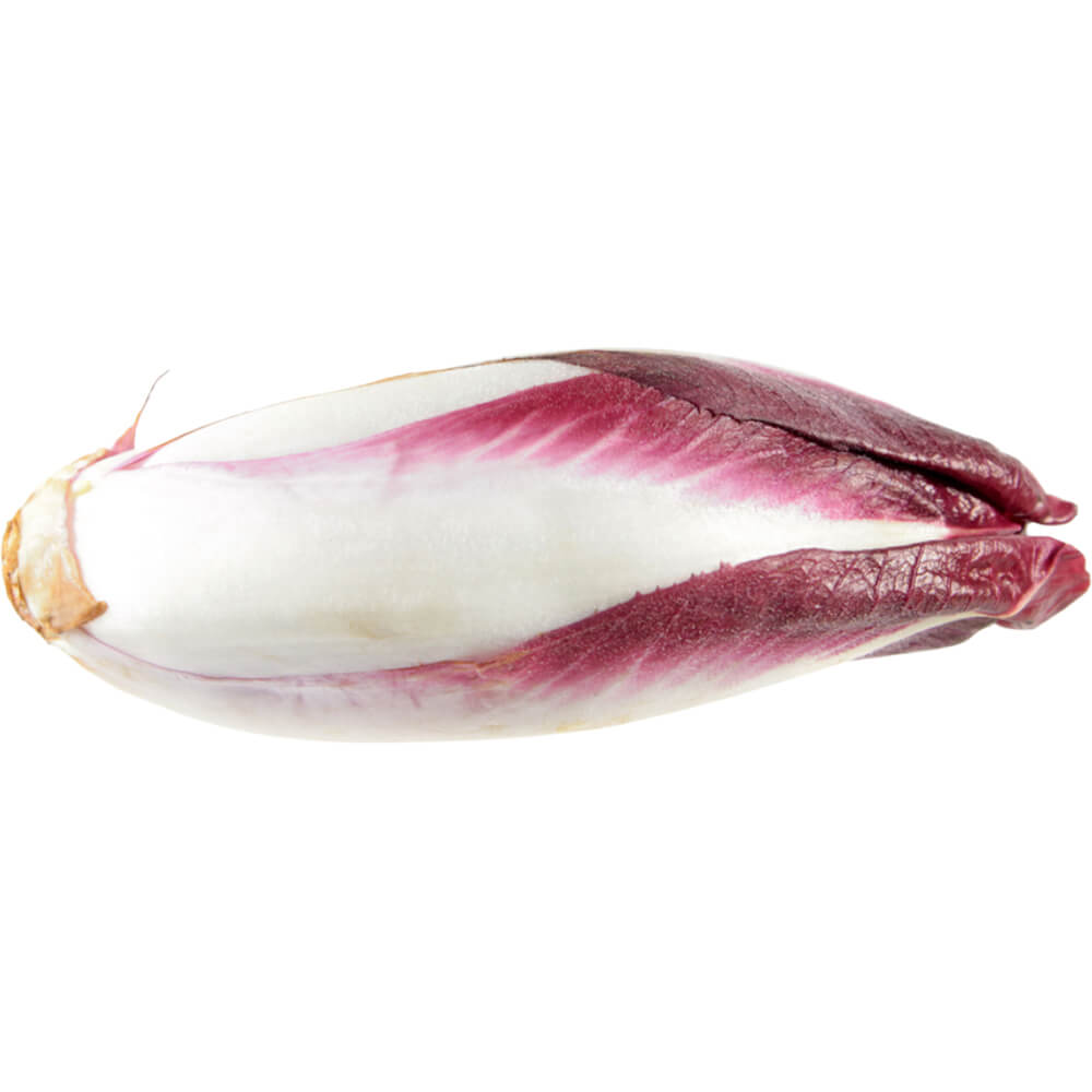 Endive-Red-img-2