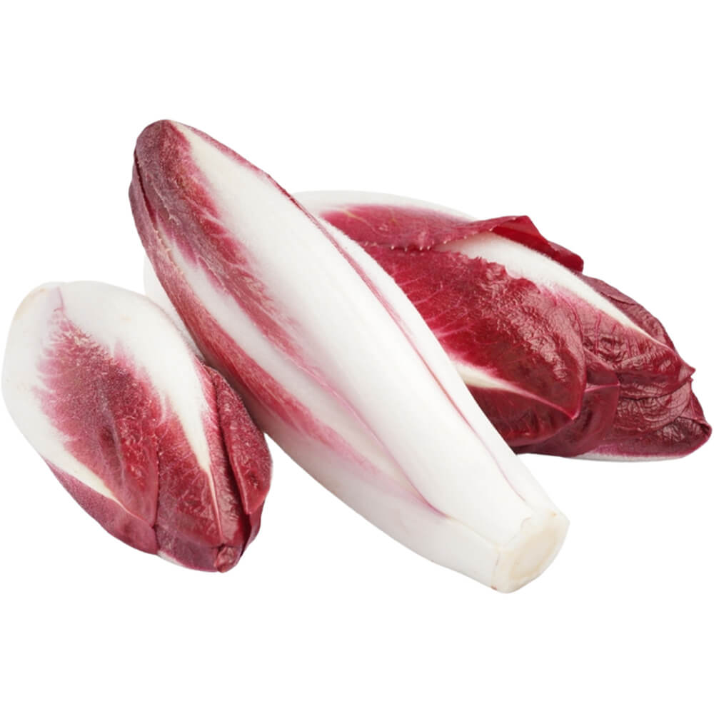 Endive-Red-img-3