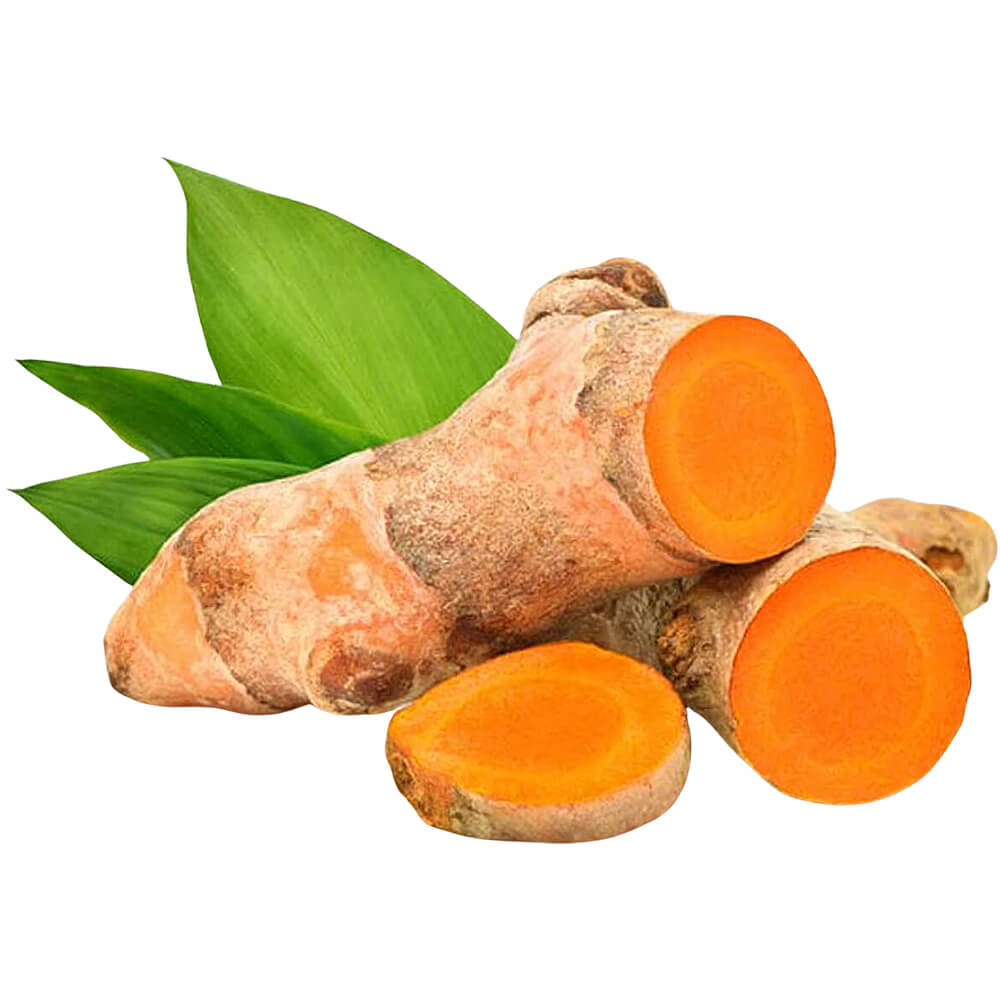 Fresh Turmeric
