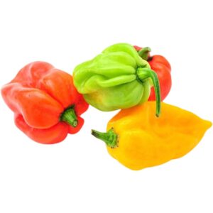 Habanero Chilli Green