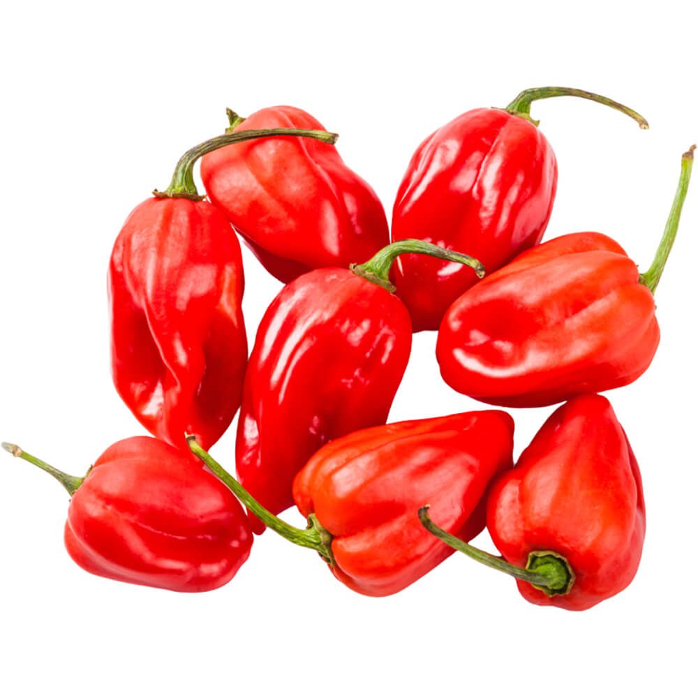 Habanero-Chilli-Red-img-2
