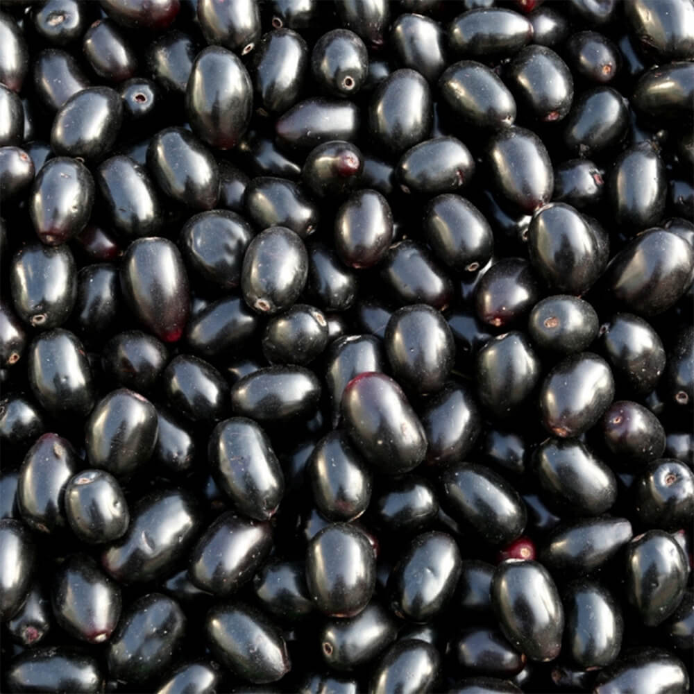 Jamun-Fruit-Ripe-img-4