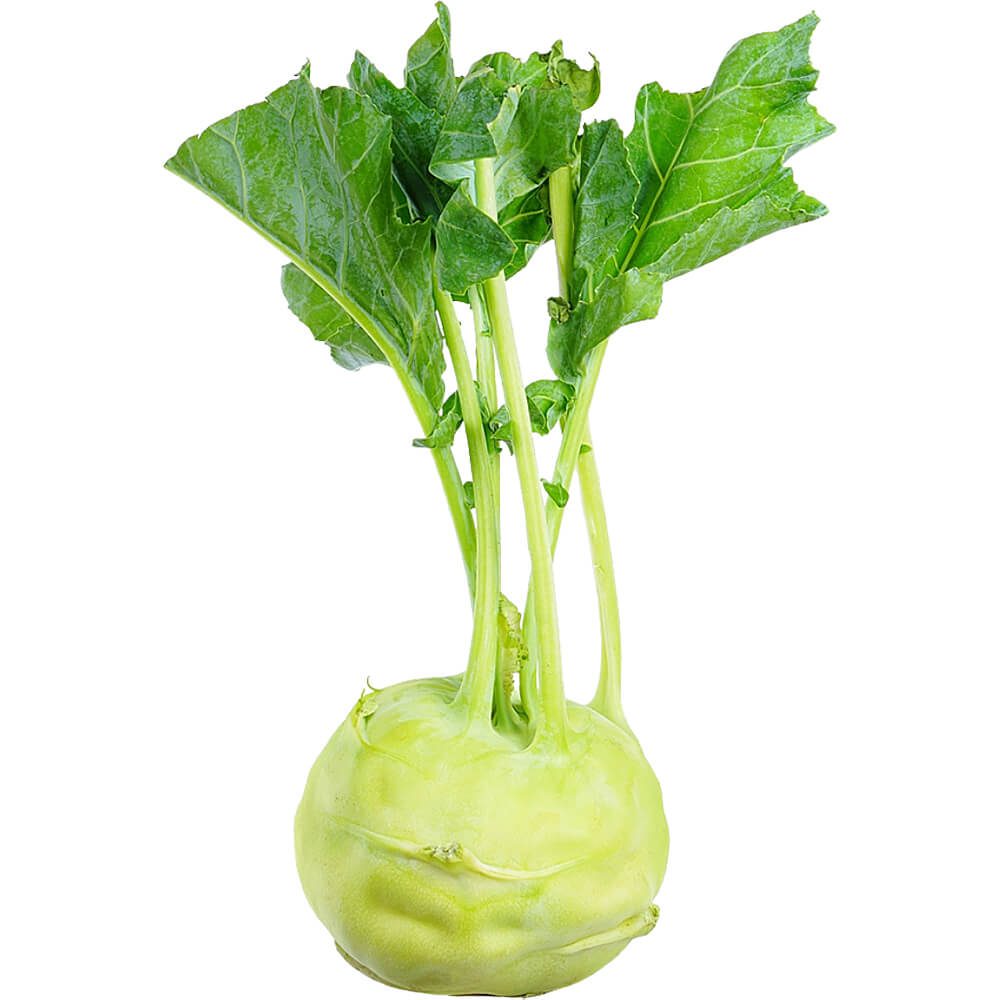 Kohlrabi-img-2