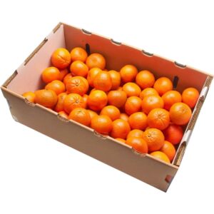 Mandarin Box South Africa