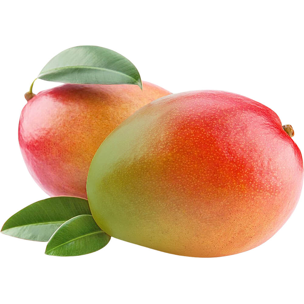 Mango-Yemen-img-2