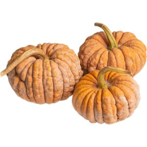 Mini Asian Heirloom Pumpkin