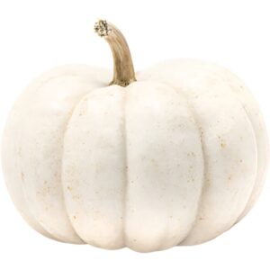 Mini White Pumpkin