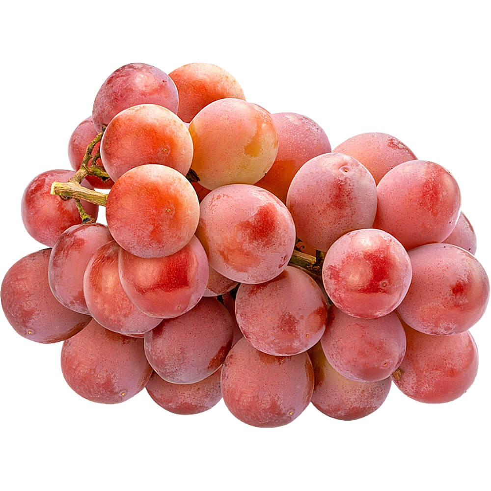 Nina-Queen-Grapes-img-2