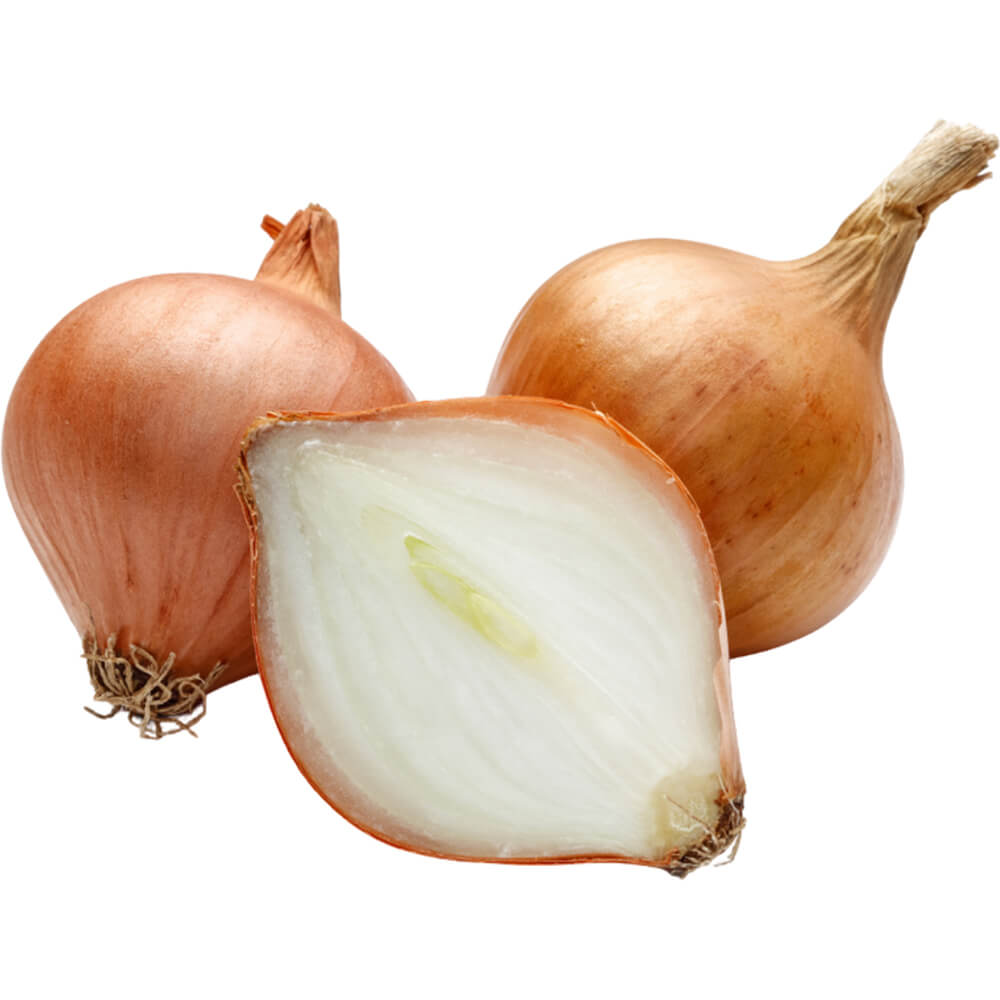 Onion-Shallots-img-2