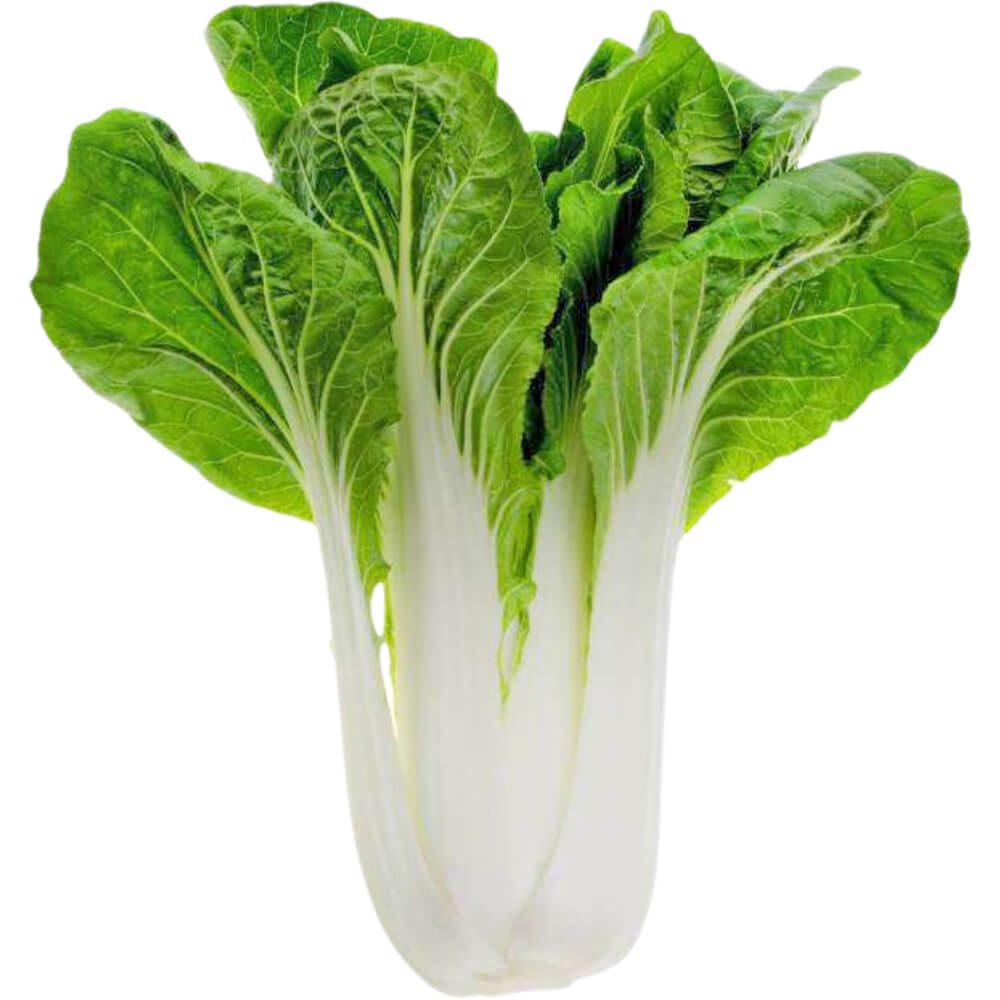 Pak-Choi-img-2