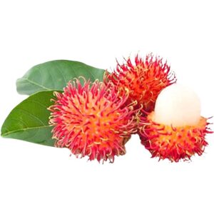 Rambutan <span class="cwu-weight-badge cwu-weight-badge--inline">500g</span>