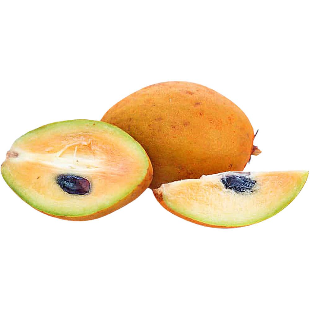Sapodilla-Chikoo-Thailand-img-2