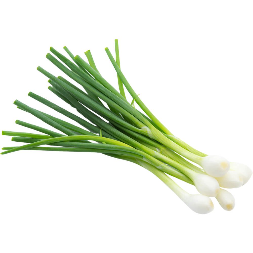 Spring Onion