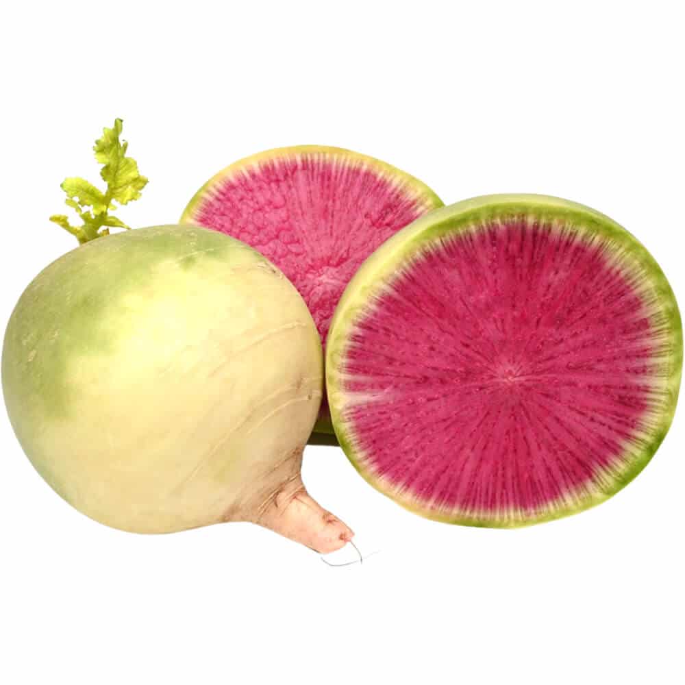 Watermelon-Radish-img-3