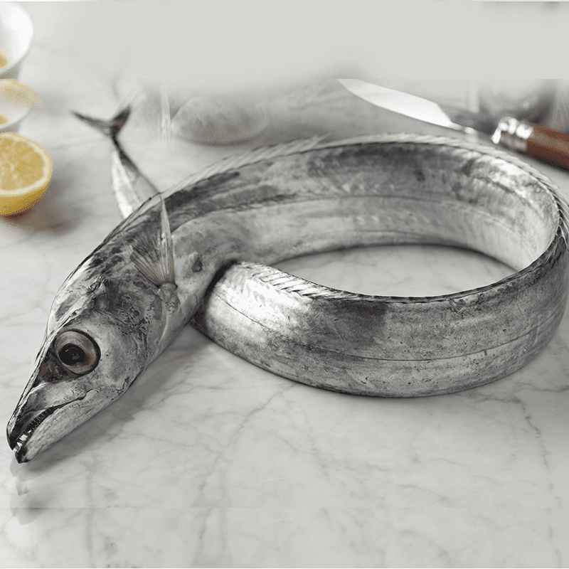 Beltfish