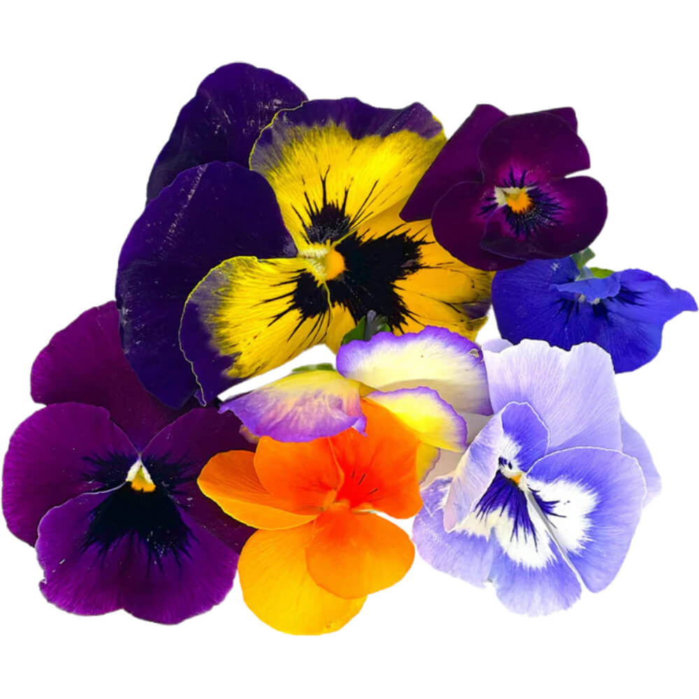 Edible-Flowers-img-2