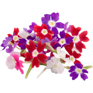 Verbena Flower Mix Edible Flowers